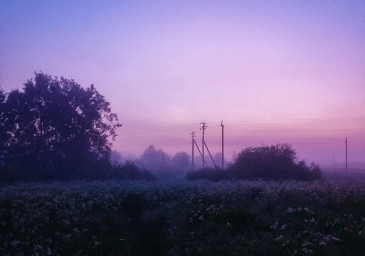 乐鱼体育下载:一键开启的全方位体育体验,随时随地点燃看球热情